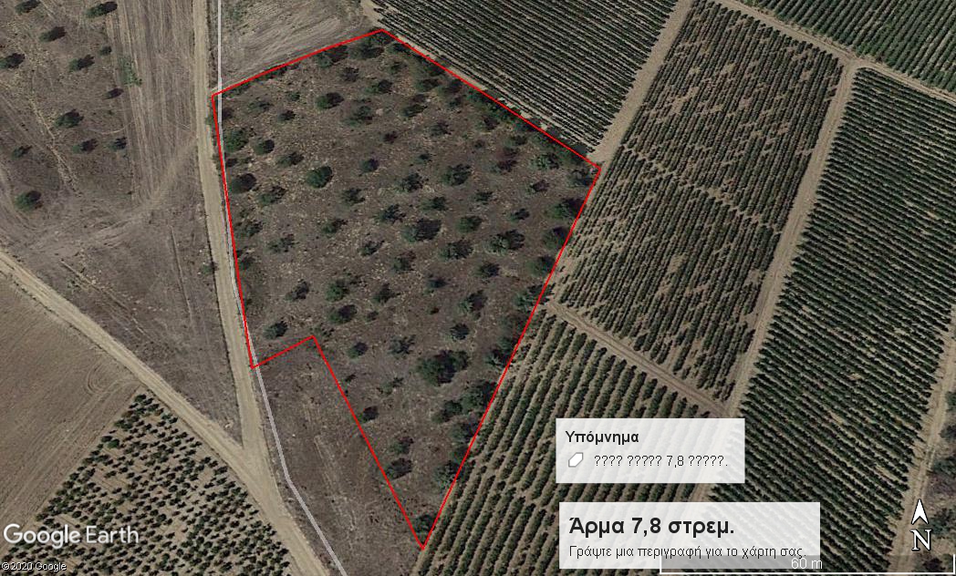 Άρμα Ελαιοπερίβολο με 50 δέντρα Κωδ. 644