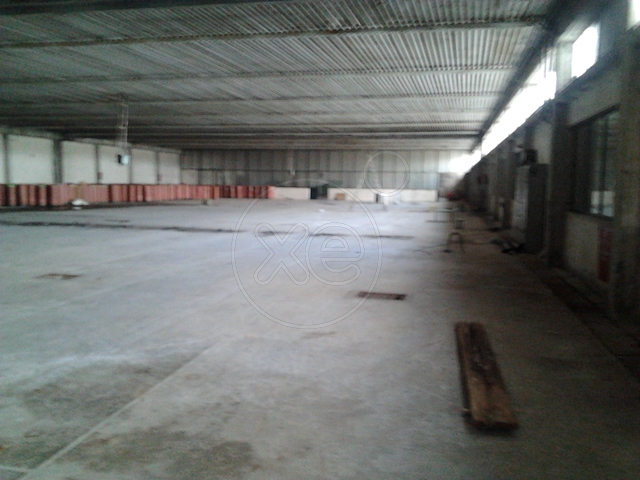 Οινόφυτα Βιομηχανικό Κτίριο 11.000 τμ Κωδ.661