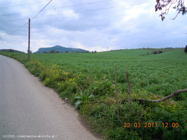 Θηβα Εκταση 67,5 Στρεμ. - Κωδ. 345