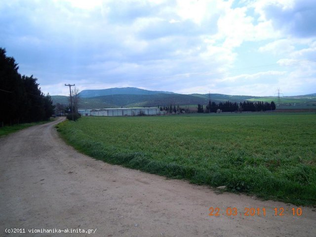 Θηβα Βιομηχανικη Εκταση 9 στρεμ. - Κωδ. 346