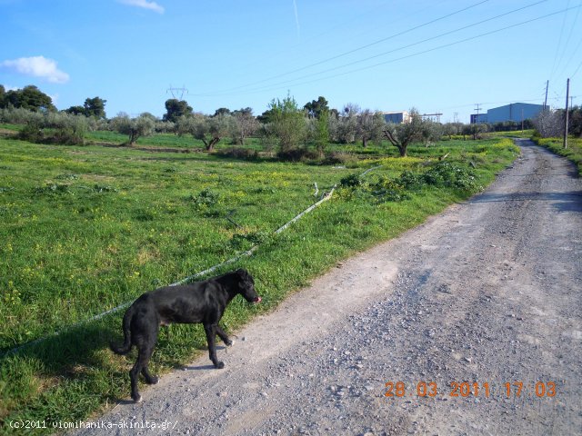 Οινοφυτα Βιομηχανικη Εκταση 100 Στρεμ. - Κωδ. 353